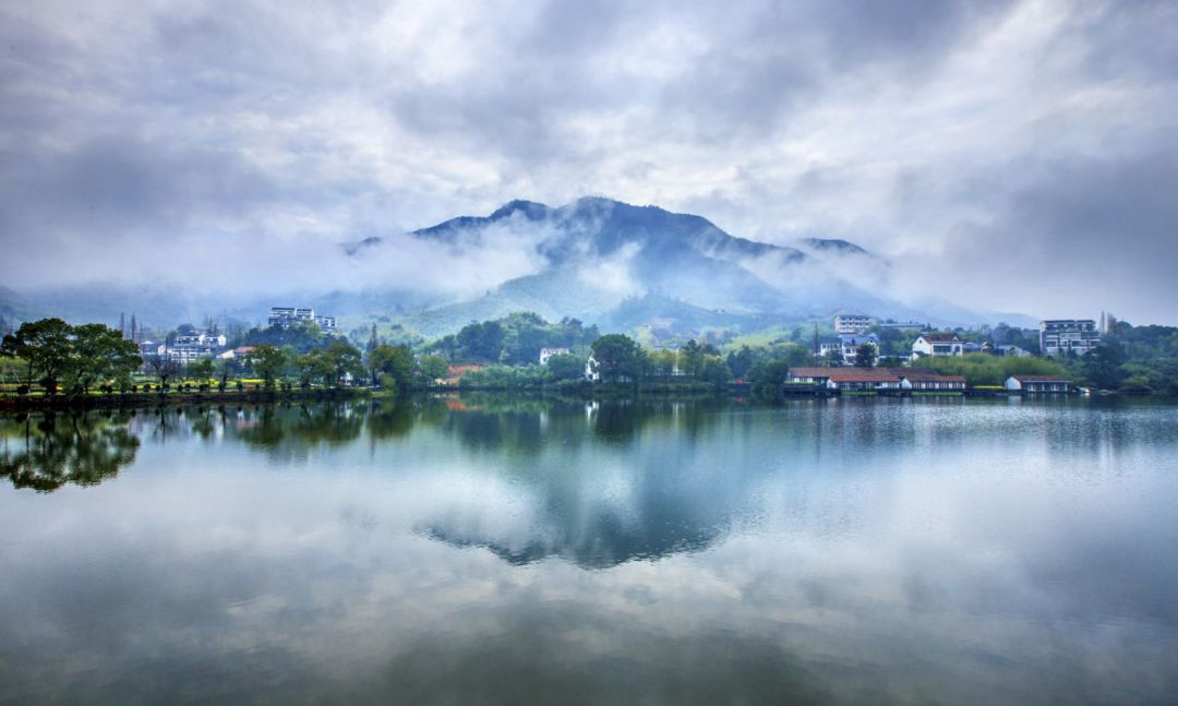 浙江盛会，致敬领导与共筑团队情谊