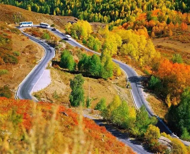 新疆，向尊敬的听众朋友们致意