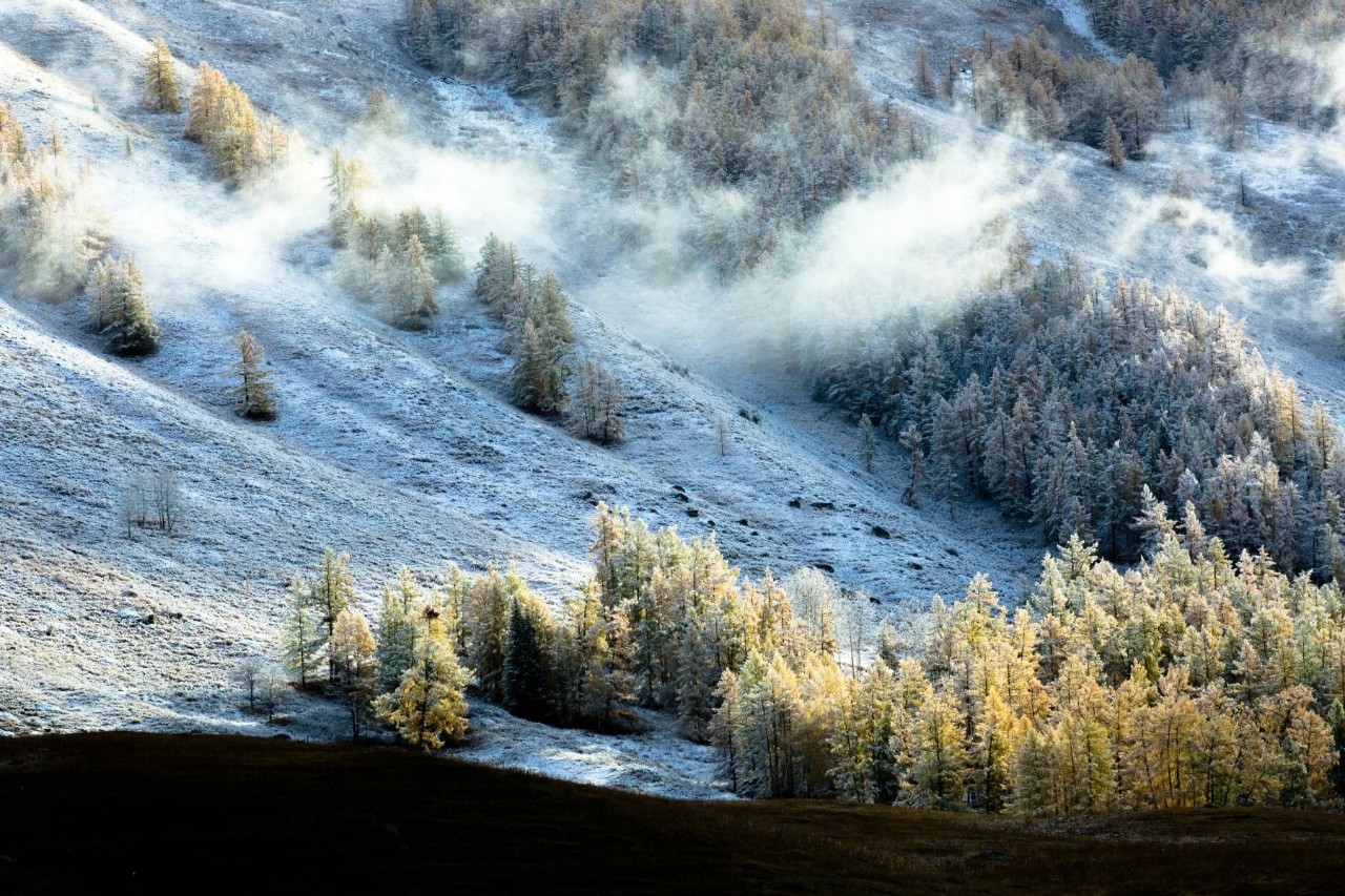 丝路明珠,新疆千年风华之旅
